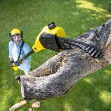 Best Commercial Tree Services  in Ellitt, CO