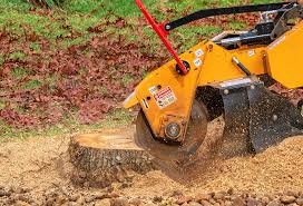 Seasonal Cleanup (Spring/Fall) in Ellicott, CO