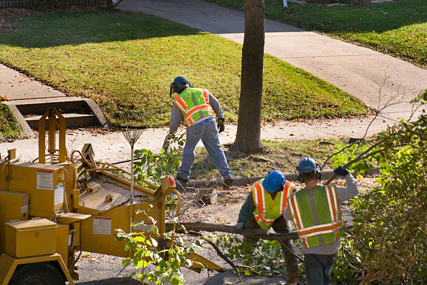 Best Hazardous Tree Removal  in Ellitt, CO